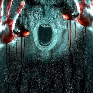 Meet your Posher, Bob